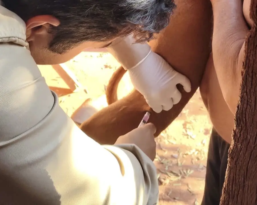 Campanha Antirrábica avança em Santa Vitória e atinge distritos e diversos bairros da zona urbana